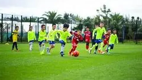 千亿体育 资讯 122828 v95