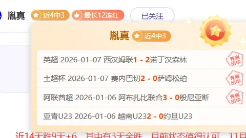 加斯城足球会概览