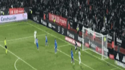 德国去年四季度GDP环比减少0.2%